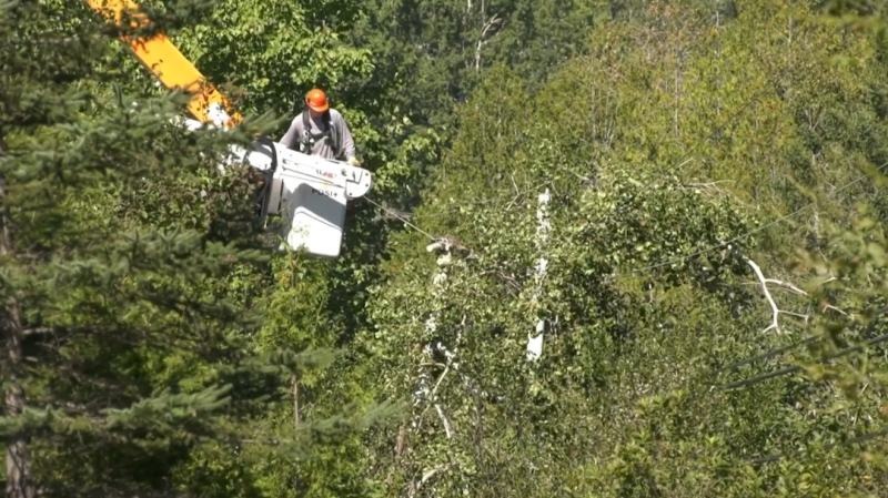 NB Power continues to work to restore power for affected customers. (CTV/Nick Moore)