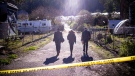 FBI officials walk towards the crime scene at Mountain Mushroom Farm, Tuesday, Jan. 24, 2023, in Half Moon Bay, Calif. Chunli Zhao, a farmworker charged with killing seven people last month in back-to-back shootings at two Northern California mushroom farms, pleaded not guilty on Thursday, Feb. 16, 2023, to seven counts of murder and one count of attempted murder. (AP Photo/Aaron Kehoe, File)