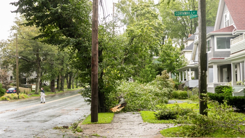 A woman crosses the street to avoid downed power lines and trees in Halifax, during post-tropical storm Lee on Saturday, September 16, 2023. THE CANADIAN PRESS/Kelly Clark