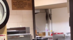  A still from a video posted to TikTok shows a rat scurring down a wall at a Tim Hortons location at University of Waterloo. (TikTok/Rats@Waterloo) 