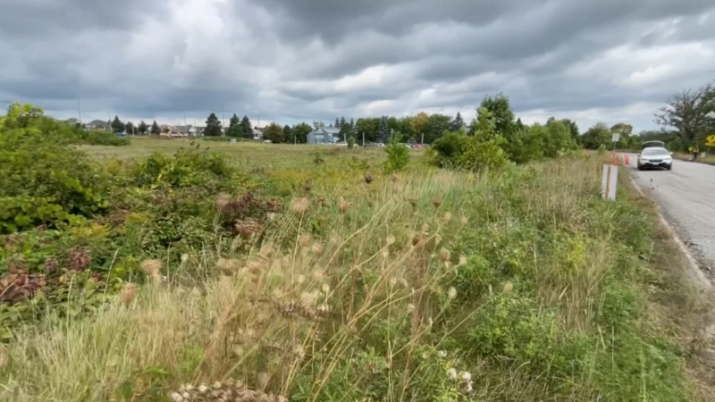 The Ottawa Police Service's new south-end facility would be built on this vacant lot on Prince of Wales Drive. (Peter Szperling/CTV News Ottawa)