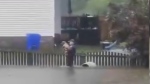 A police officer rescued a pit bull terrier in Greenville, North Carolina, on Sept. 23, after the animal was close to drowning.