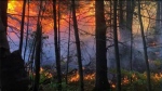 MNRF officials are reporting a new forest fire app