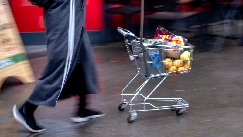 A woman pushes a small shopping cart outside a discount market in Frankfurt, Germany, on July 27, 2023. (AP Photo/Michael Probst, File)