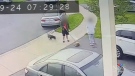 Pit bull attacks and kills 2 other dogs