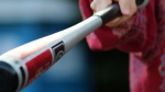 A baseball bat is shown in a stock photo image. (Pexels/light wizzi)
