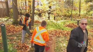 Last year's Trades Day of Caring at Sault College saw 17 students lend a hand at 14 homes. This year, more than 40 students are signed up, and they're looking to help as many seniors as possible. (Photo from video)
