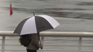 A fall storm struck parts of Metro Vancouver and Vancouver Island Monday, with strong winds forcing multiple ferry cancellations. 