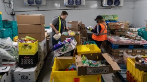 Food bank report highlights food insecurity