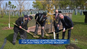 City launches grant to revitalize urban forestry