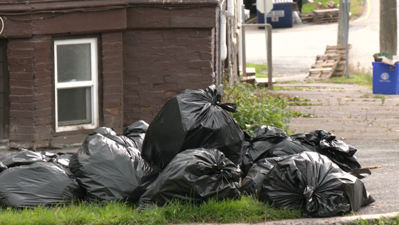 Garbage bags filled the streets in Uptown Saint John Wednesday morning with many residents missing the memo on the service pause. (Avery MacRae/CTV Atlantic)