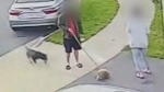 WARNING: Video shows pit bull attack that killed s