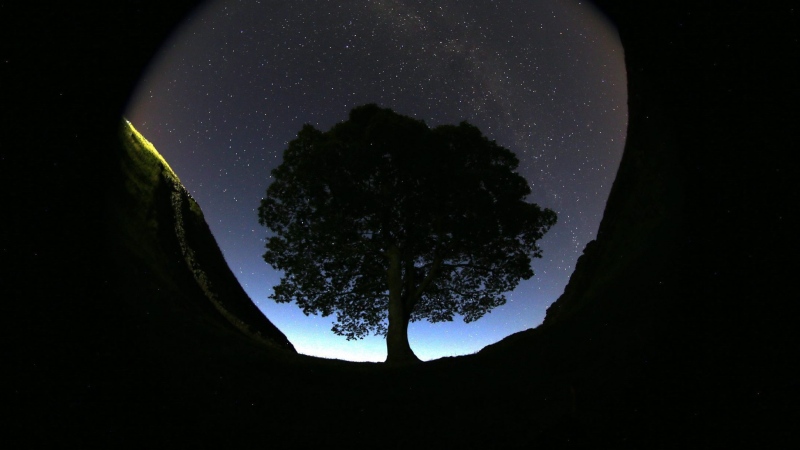 A general view of the stars above Sycamore Gap prior to the Perseid Meteor Shower above Hadrian's Wall near Bardon Mill, England, Wednesday, Aug. 12, 2015. (AP Photo/Scott Heppell)