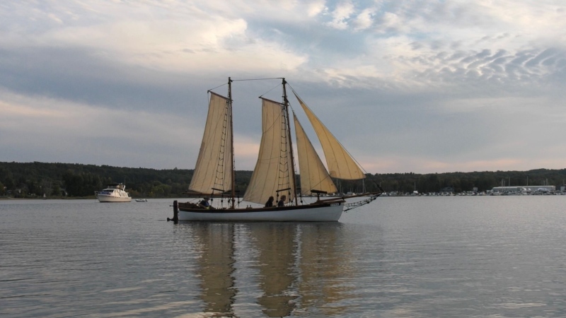 Replica war boats created by The Ship's Company of Penetanguishene. (CTV News/Molly Frommer)