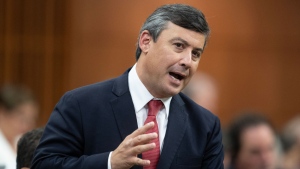 Conservative MP for Wellington-Halton Hills Michael Chong rises during Question Period, Thursday, September 28, 2023 in Ottawa. THE CANADIAN PRESS/Adrian Wyld