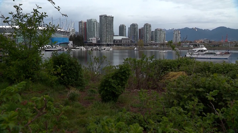 Vancouver view corridors could be relaxed