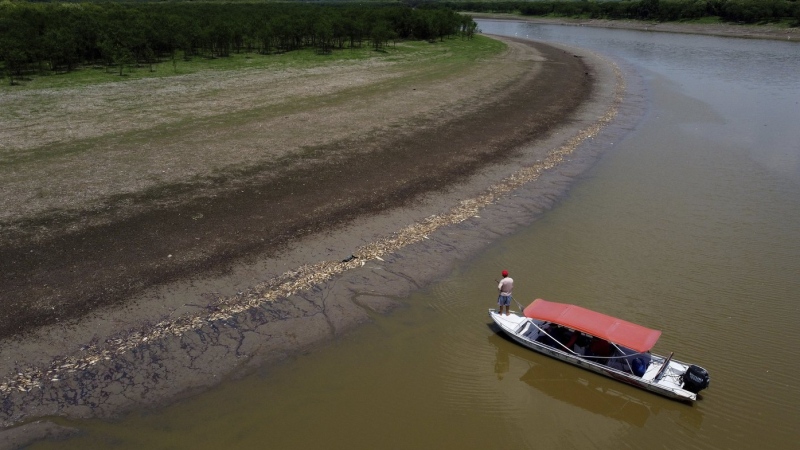 A fisherman stands on his boat as he navigates near thousands of dead fish awash on the banks of Piranha Lake due to a severe drought in the state of Amazonas, in Manacapuru, Brazil, Wednesday, Sept. 27, 2023. (AP Photo/Edmar Barros)