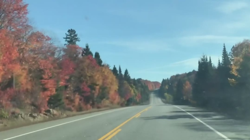 Fall colours Hwy 60