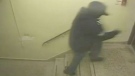 The first person of interest caught on camera at 20 Falstaff Ave. has distinctive markings on his right shoulder.