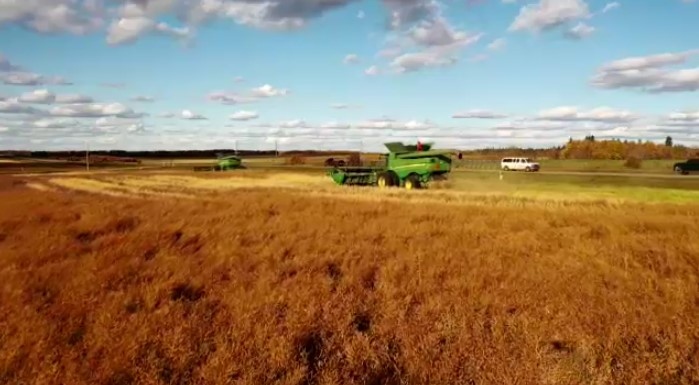Manitoba crop report