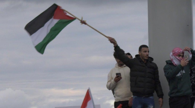 Palestine rally windsor