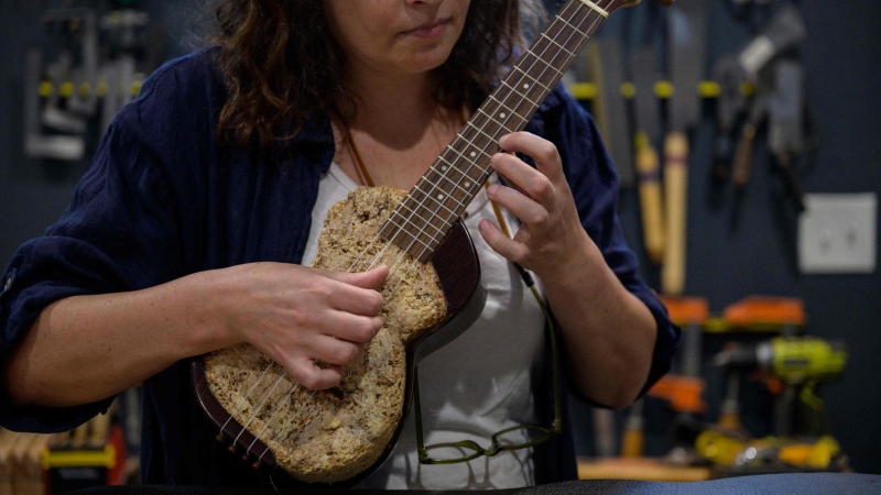 Sound of the underground: This guitar maker finds music in mushrooms