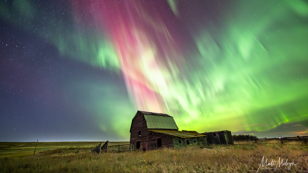 Northern lights could be seen over Carstairs, Alta., on Sunday, November 5, 2023. (Photo by Matt Melnyk)