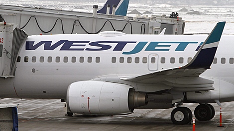 Westjet Airlines planes sit on the tarmac at Calgary Airport on Tuesday, Feb. 16, 2010. (THE CANADIAN PRESS/Larry MacDougal)