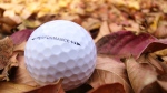 A stock photo of a golf ball on leaves in autumn. (pexels.com/@kindelmedia)