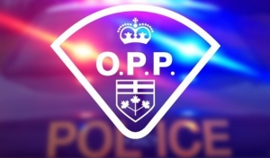 Acting on behalf of another government agency, Ontario Provincial Police in Blind River, Ont., found weapons and drugs while doing a wellness check on children. (Supplied)
