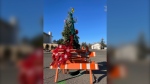 Residents in Regina's Normanview district have put some holiday spirit on a sinkhole. (KatySyrota/CTVNews)