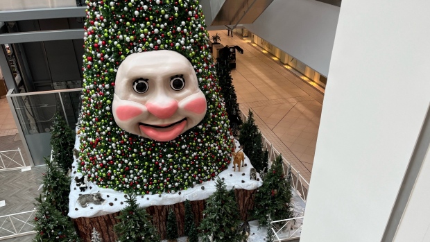 Every year between Nov. 18 and Dec. 23, Woody The Talking Christmas Tree wakes up from his deep slumber for Santa's grand arrival at Mic Mac Mall in Dartmouth, N.S. 