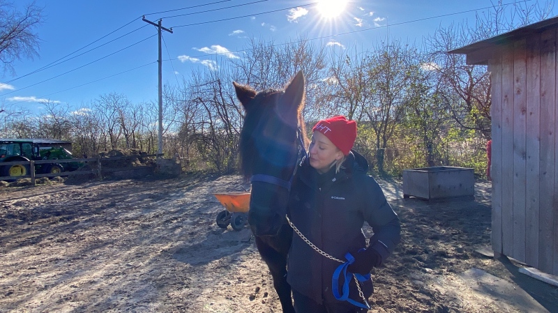 Volunteer Melanie Pellerin with a resident at A Horse Tale Rescue where former working animals retire. (Christine Long/CTV News)