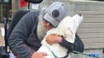 Adam finds out how a Victoria man is overcoming adversity by building community with canines.