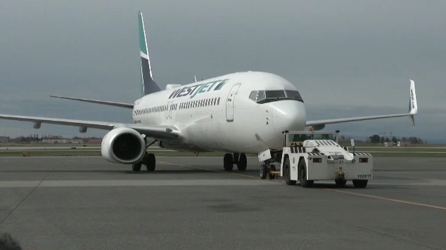 A WestJet aircraft can be seen in this file photo. 