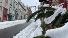 Snow in Quebec City (photo: CTV News Montreal / Samuel Pouliot)