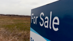 A real estate sign at 1462 Westminster Dr. in London, Ont., seen on Nov. 27, 2023. (Daryl Newcombe/CTV News London)