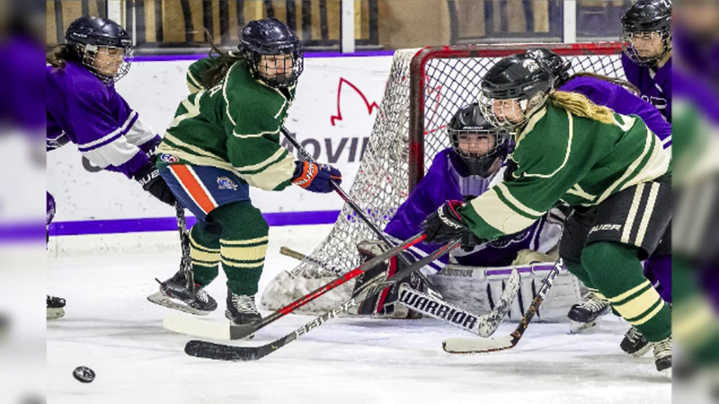Western University's Engineering Faculty versus Ivey Faculty women’s hockey game at Western's Thompson Arena on Nov. 17, 2023. (Source: Submitted) 