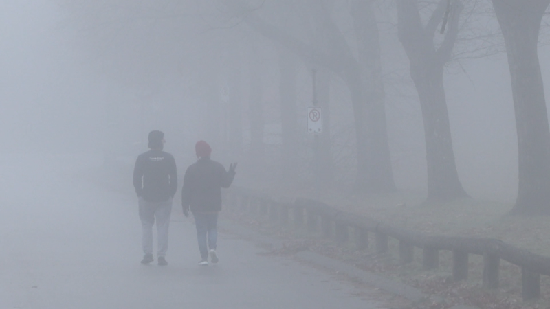 Fog  is seen blanketing Metro Vancouver on Nov. 27, 2023. 