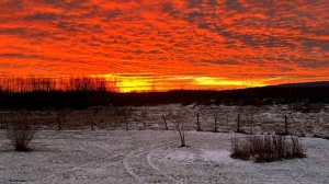 Sun rising over Red Deer Lake. Photo by Jenifer Ferland.