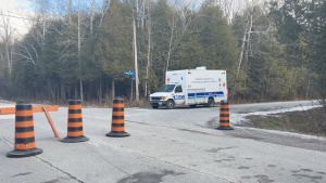 Ottawa police at the scene of a fatal collision on Fernbank Road. Nov. 28, 2023. (Jackie Perez/CTV News Ottawa)