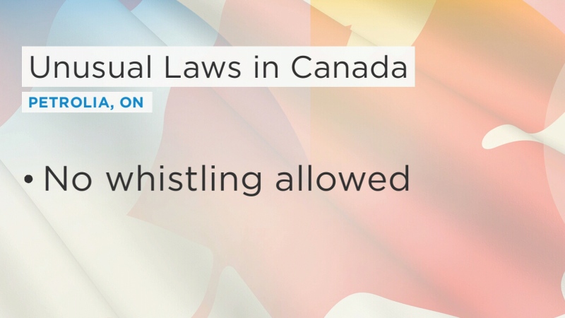 Some of Canada's most unusual laws
