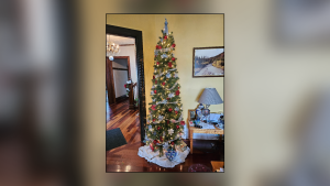 PICTURE THIS: CHRISTMAS TREES 