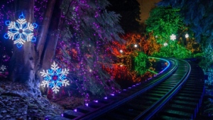 This photo from the Vancouver Park Board shows the tracks for the Stanley Park Train during Bright Nights. 