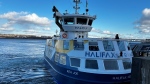 A Halifax Transit ferry is pictured. (Jonathan MacInnis/CTV Atlantic)