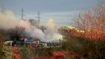 London fire crews attended the scene of a fire at a homeless encampment in the area of Adelaide Street South and Royce Court on Nov. 29, 2023. (Source: London Fire Department/X) 