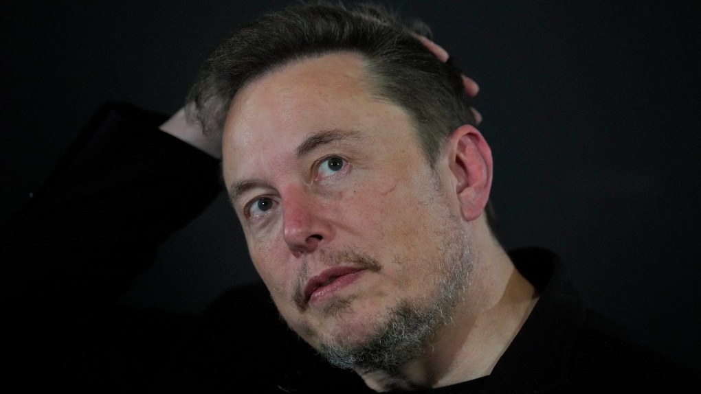 Elon Musk reacts