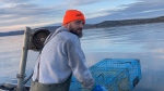 Indigenous fisherman Cody Caplin is shown on a boat in Chaleur Bay, N.B. in an Oct.13, 2023 handout photo. Caplin is expected to appear in a northern New Brunswick courtroom, where he will launch a constitutional challenge that could prove pivotal for First Nations across the Maritimes. THE CANADIAN PRESS/HO-Tom Keefer
