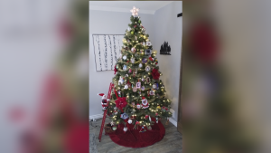 PICTURE THIS: CHRISTMAS TREES
