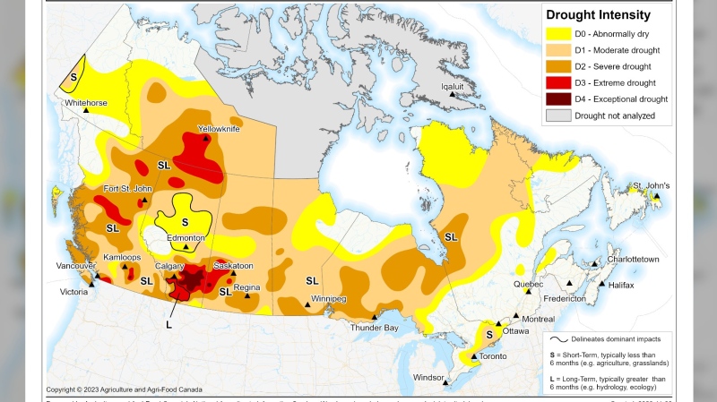 A map of Canada’s Drought Monitor shows substantial drought across Canada, specifically in Western Canada. (Source: Government of Canada) 